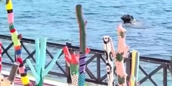 Πολύχρωμα έργα τέχνης από τα αποκαΐδια δίνουν «χρώμα» στο Μάτι-Βίντεο